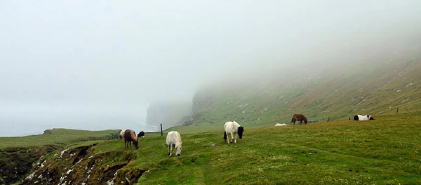 Foula: Το βρετανικό νησί με τα πόνι (φωτό)